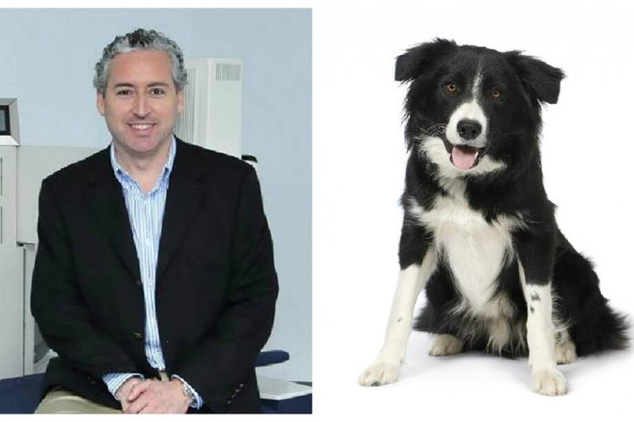 Médico maltrata a un perro al encontrarlo en su ascensor