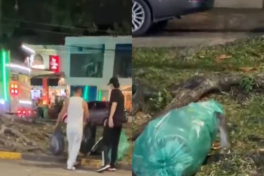 Tras denuncias ciudadanas y videos difundidos en redes sociales, las autoridades sanitarias intervinieron uno de los sectores gastronómicos más concurridos del sur de Cali para contener la presencia de ratas.
