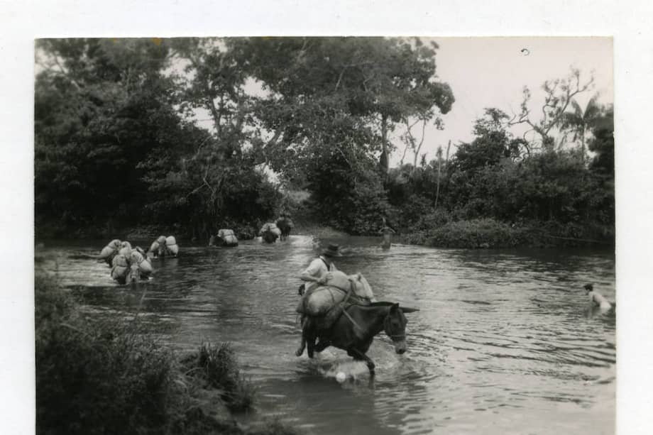 La lucha: La lucha del llanero. © Derechos reservados - Acción Cultural Popular (ACPO)