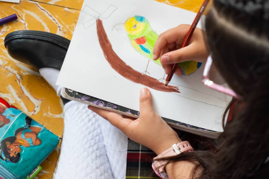 Pitando lorito de fuertes, una especie emblemática de Santa Rosa de Cabal.