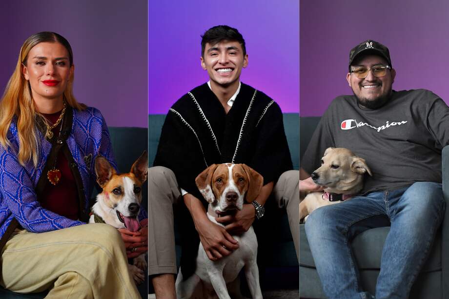 Zoonidos es el pódcast de La Red Zoocial donde diferentes invitados cuentan las historias de sus mascotas y cómo ellas han influido en sus vidas.