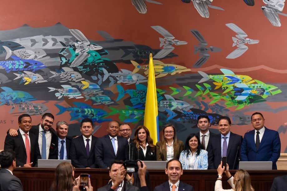 El Congreso en pleno eligió a los nueve magistrados que conformarán el nuevo Consejo Nacional Electoral (CNE).