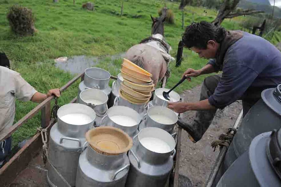 Imagen de referencia.