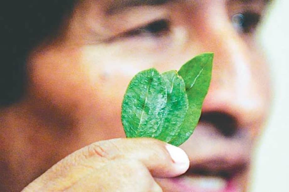 El mandatario boliviano Evo Morales/ EFE