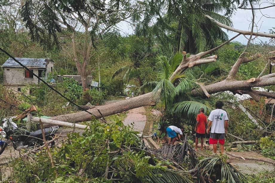 Locals look at a fallen tree after the passage of Hurricane Iota in San Andres, Colombia, on November 17, 2020. At least one person died on the Colombian island of Providencia on Monday, where Iota destroyed about 98 percent of its infrastructure, President Ivan Duque reported on Twitter.
/ AFP / Liana FLOREZ