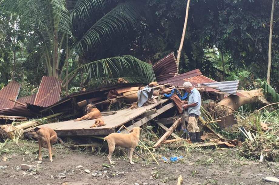 Cortesía: Rescate Animal y Fuerza Pública de Costa Rica