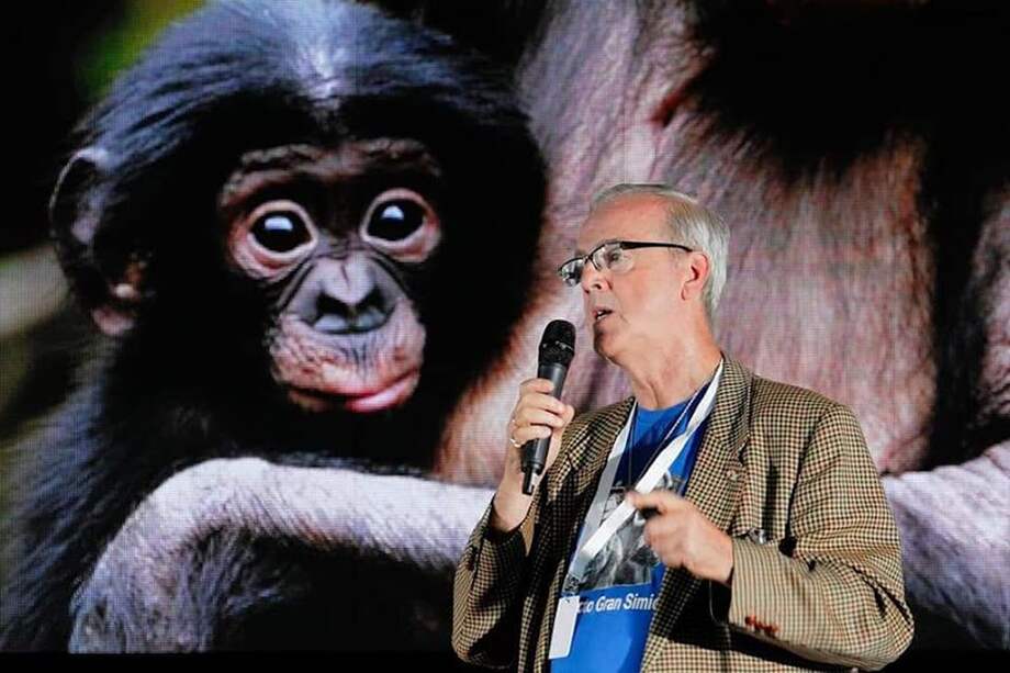 El Proyecto Gran Simio se ha enfocado en concientizar a la población sobre el valor que tienen los simios para la naturaleza y su parecido con las personas.