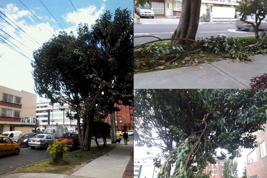 Habitantes de un barrio en Bogotá denuncian negligencia de Codensa