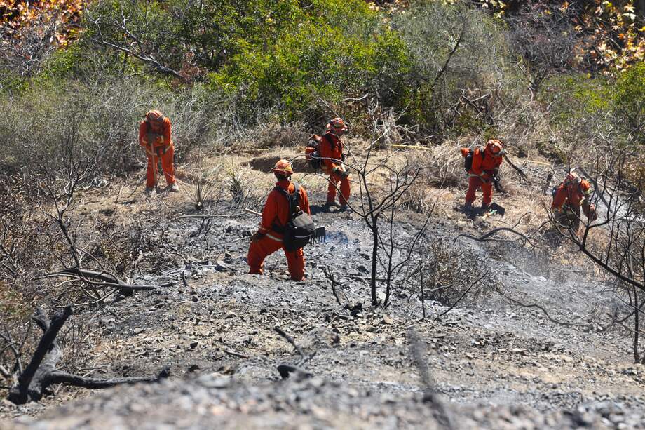 Reclusos (de naranja) ayudan a los bomberos a apagar las últimas brasas en las colinas del cañón Mandeville después de que el incendio de Palisades quemara parte de él, el 13 de enero de 2025, en Los Ángeles, California.