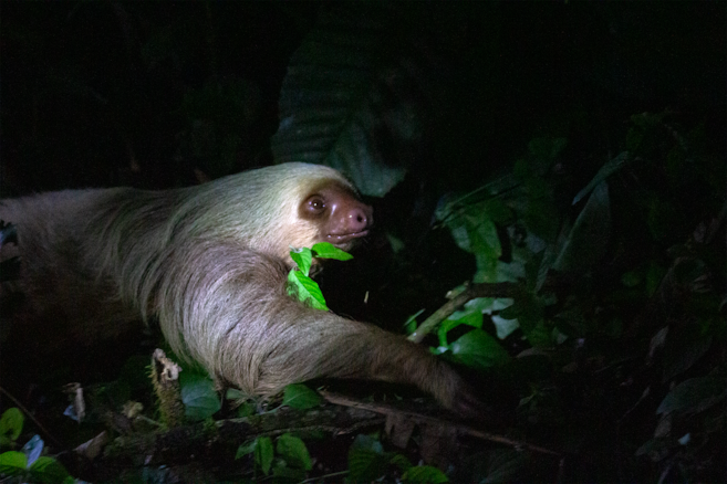 En fotos: un viaje visual por la Costa Rica salvaje
