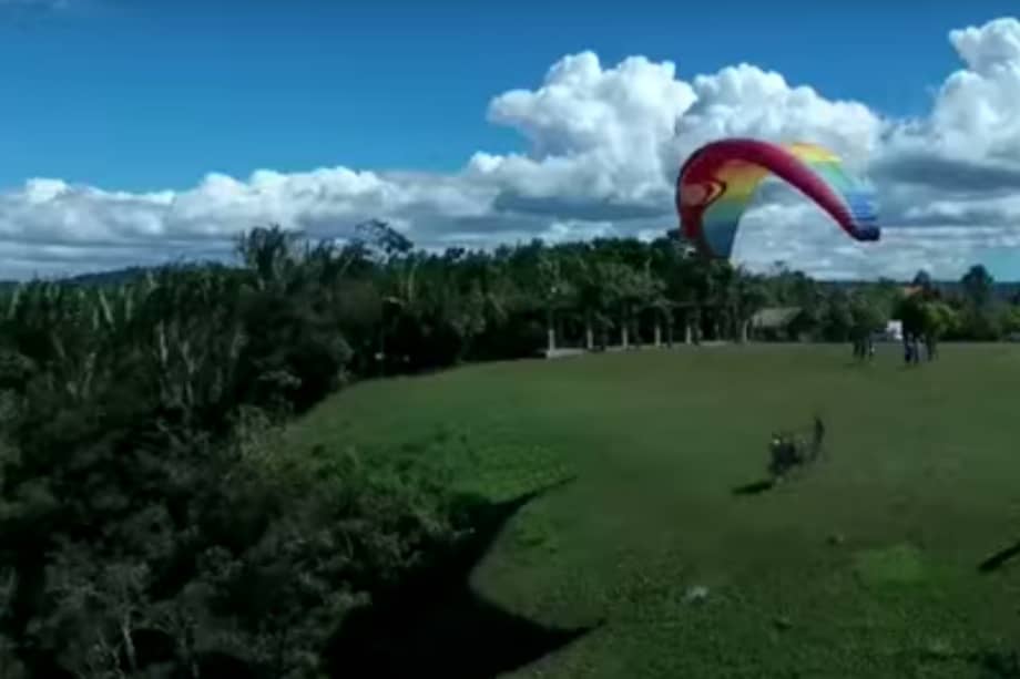 Los parapentistas lanzan semillas en zonas deforestadas para ayudar a su recuperación. / Youtube.