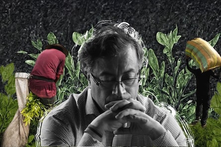 El panorama de confusión y presiones en el que Colombia busca luchar contra las drogas