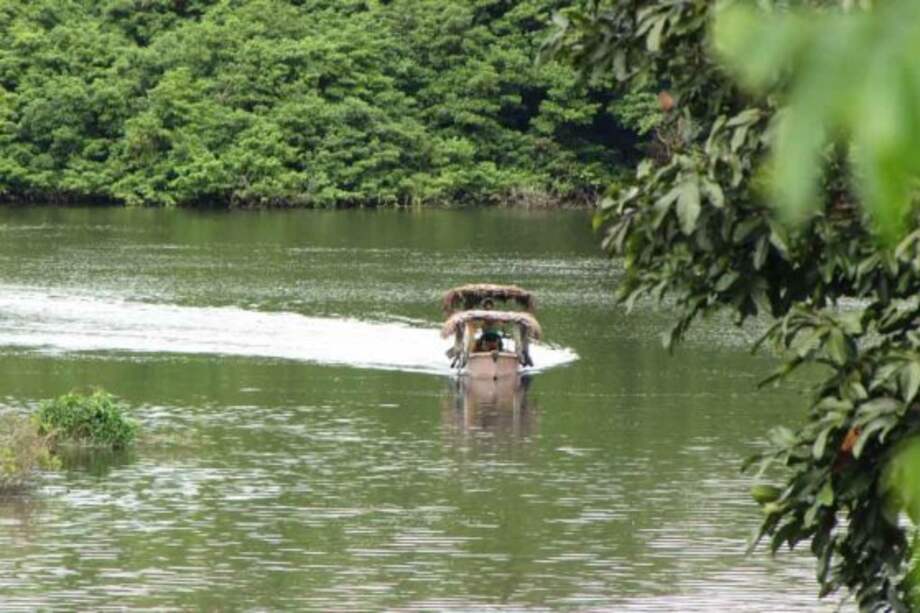Piden mayores controles en la navegabilidad del río Amazonas