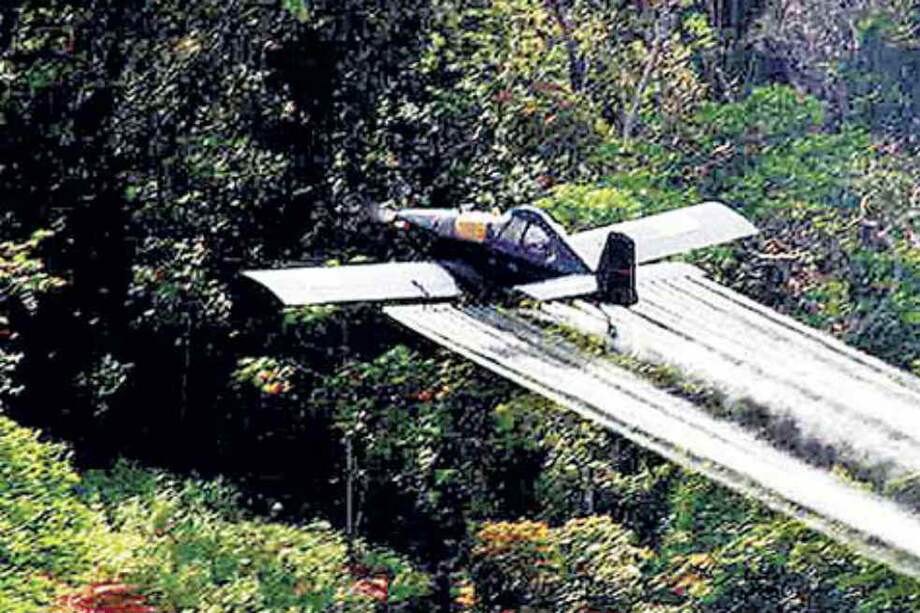 A partir del próximo mes podrían quedar suspendidas las aspersiones. / Archivo