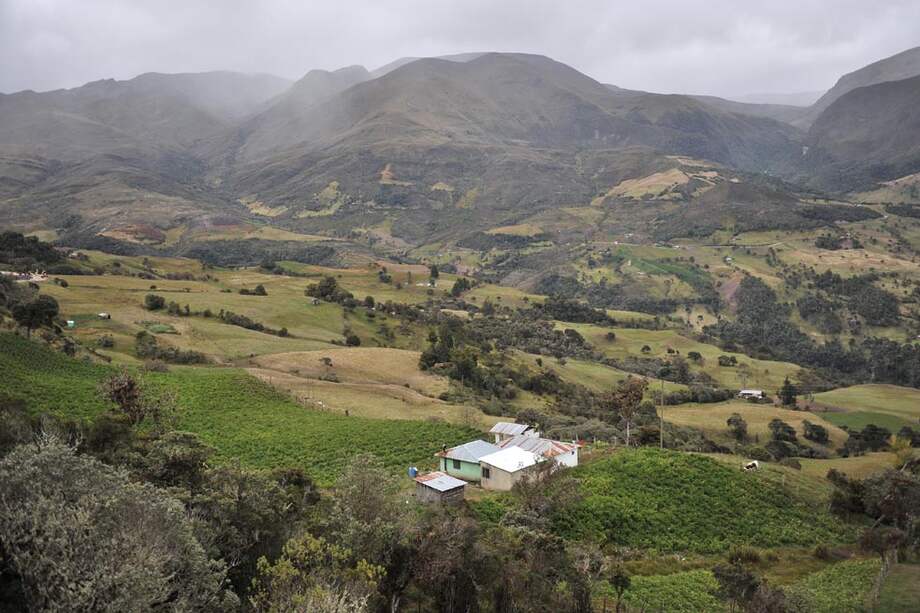 De la provincia de Sumapaz proviene alrededor del 13% de los alimentos que consume Bogotá. / David Campuzano