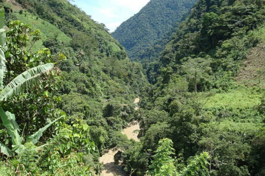 Foto: Gobernación de Antioquia.