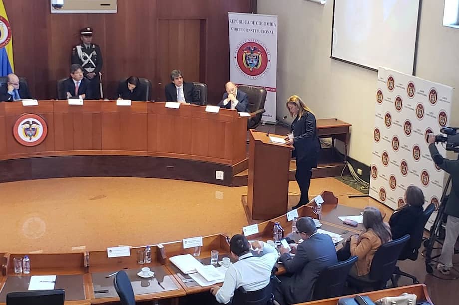 Claudia Quintero, sobreviviente del mundo de la prostitución y directora de la Corporación Anna Frank, durante la audiencia pública sobre la regulación del uso del suelo para el ejercicio del "trabajo sexual" en la Corte Constitucional. / Archivo Particular