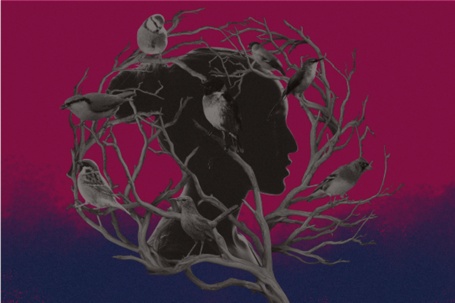 El Equipo de la Alianza Rebelde Investiga, de Venezuela, hizo un juicioso mapeo de las rutas de las migrantes que terminan ingresando a redes de trata del Tren de Aragua.