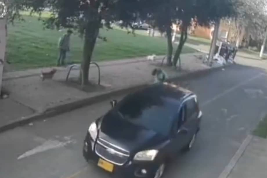 Así fue el momento en que un ciclista fue arrollado por un vehículo que se dio a la fuga.