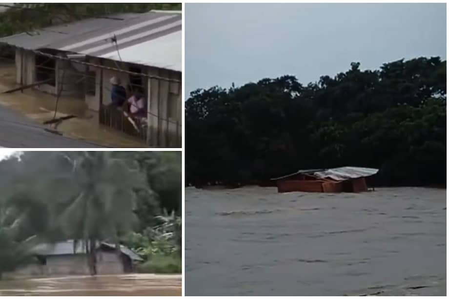 Crecientes de los ríos San Francisco, Alto Guapi, Guaguí y Navi afectaron a los municipios de Guapi y Timbiquí.