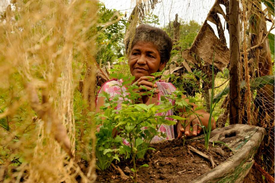 Esta campesina es una de las beneficiadas por el proyecto de huertas caseras del PNUD, como una forma de adaptación al cambio climático. / PNUD Colombia