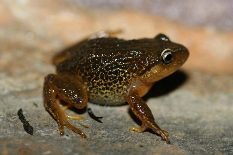 / Instituto Humboldt