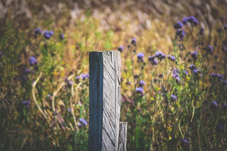 Alambre de púas, malla ciclónica, postes de guadua o madera y hasta cercas vivas son algunas de las alternativas que puede considerar