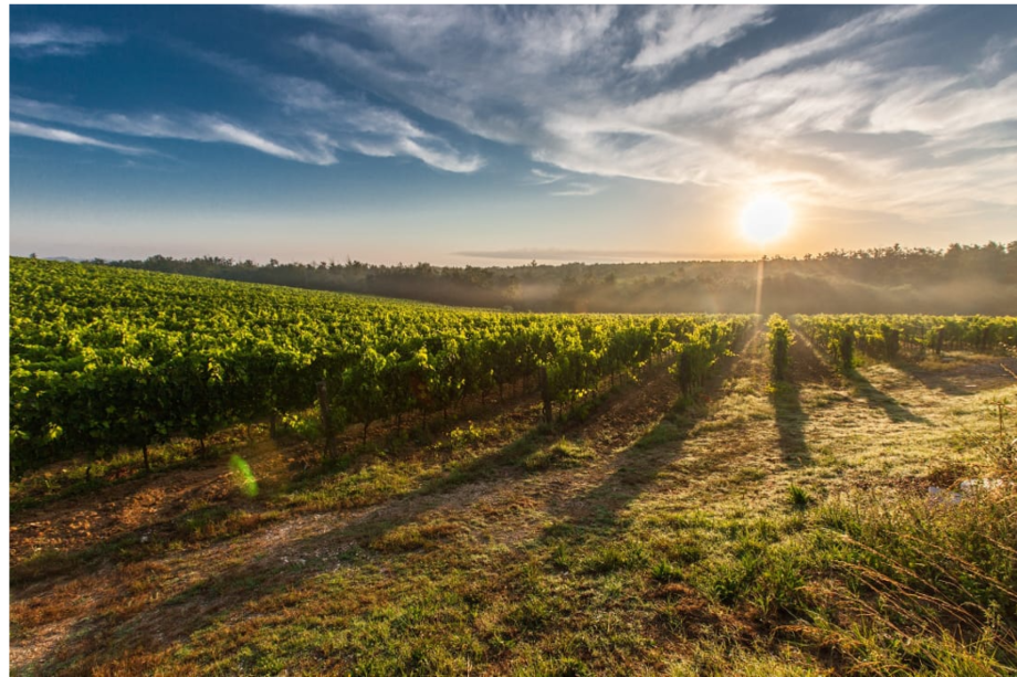 El mecanismo de Apoyos Financieros a Terceros (AFT), que beneficiará a 198 unidades productivas entre pymes y organizaciones asociativas.