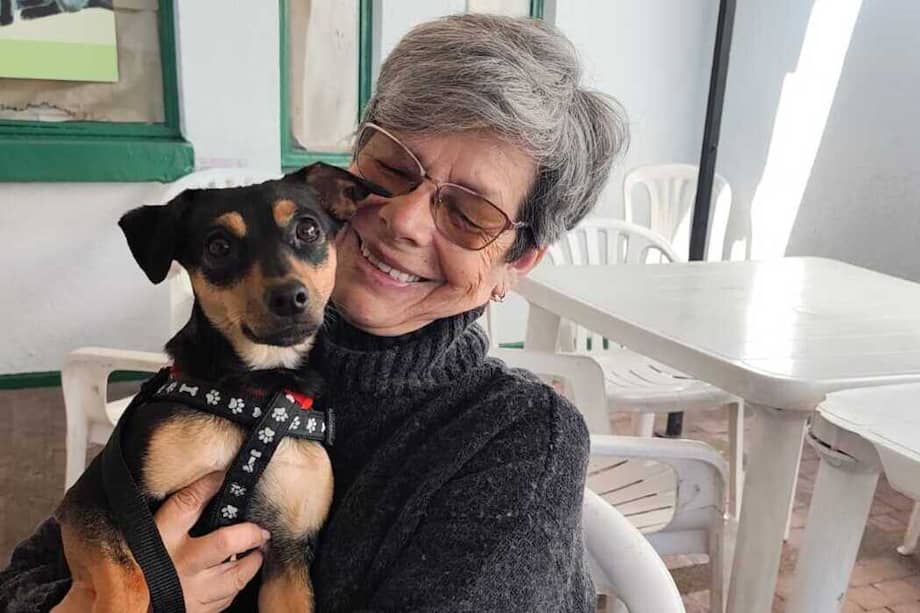 El proyecto se apoya en el vínculo humano-animal como herramienta de acompañamiento y cuidado integral en la ciudad.