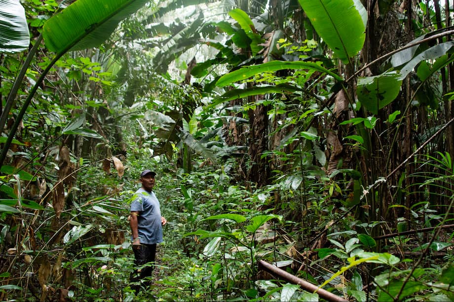 Num Bu Jedeku en los bosques que ha restaurado con el programa de Parques Nacionales de Colombia de restauración ecológica.