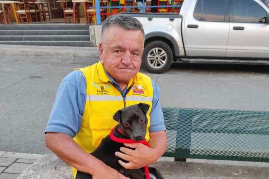 Jaime León López tenía una fundación que auxiliaba a los animales en condición de calle.
