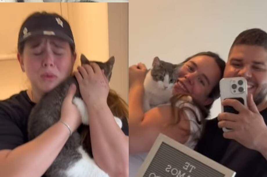 Robert fue rescatado de la calle en junio de este año y en un par de meses se convirtió en uno de los miembros más queridos de la familia.