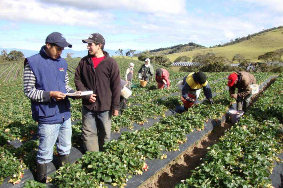 Cooperativismo, el mejor modelo para el posconflicto