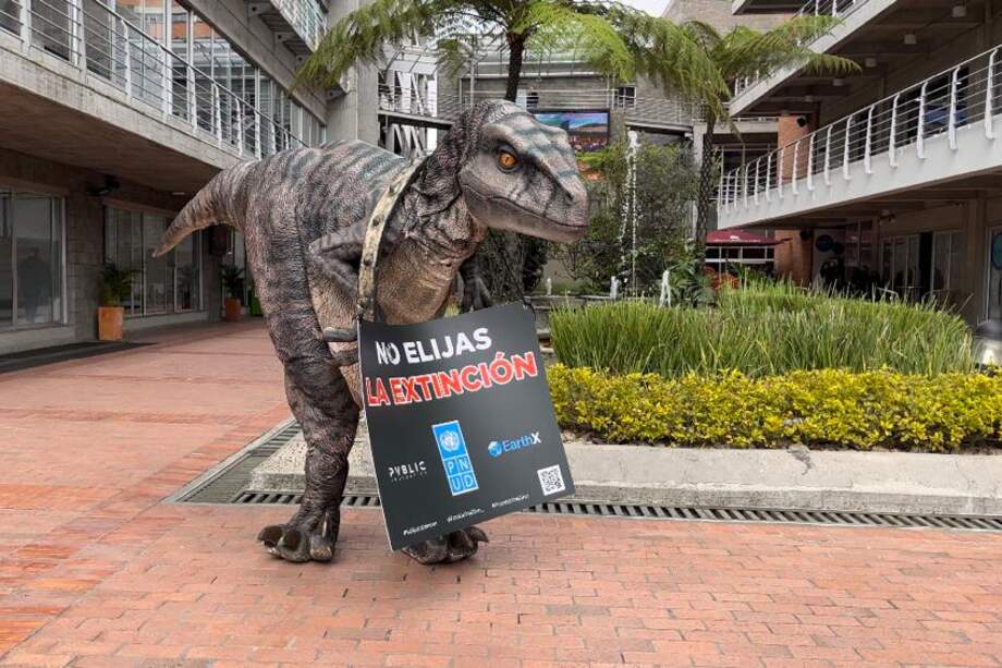 La campaña inició hace cerca de dos años, días antes de la realización de la COP 26.