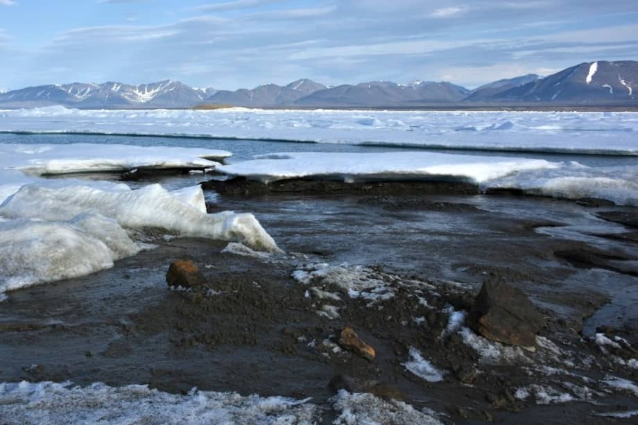 La isla se compone principalmente de pequeños montículos de limo y grava.