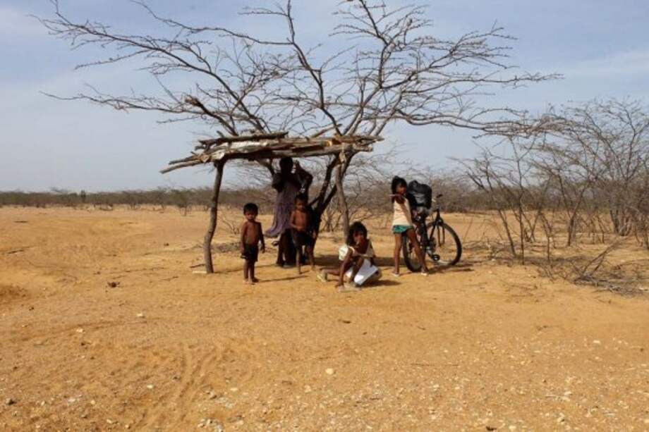 Jesús Fragozo / Jesús Fragozo