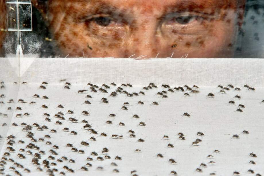 El zika parece haber llegado a América Central y del Sur de la noche a la mañana. / Bloomberg News