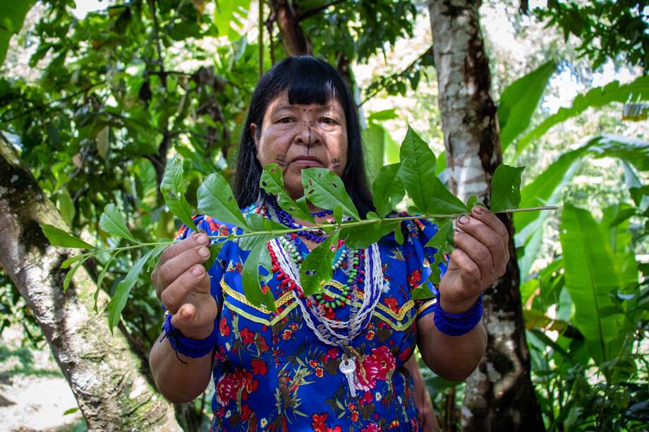 Las imágenes están expuestas en ARTBO.