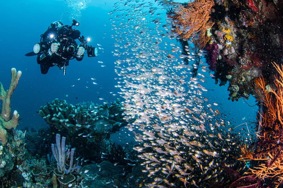 En Malasia, la diversidad no se presenta en fragmentos, sino que se experimenta continuamente.