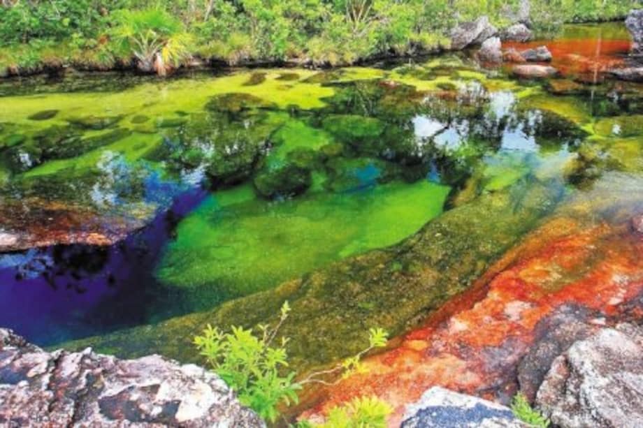 Caño Cristales es conocido como el río “más hermoso del mundo”. / Flickr: Eric P