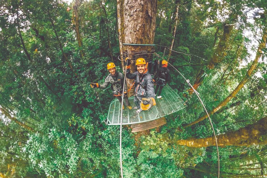 El café y la aventura son protagonistas del turismo en Panamá.
