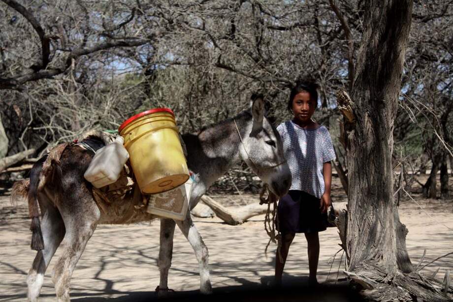El Ministerio de Vivienda invertirá $101.500 millones en siete municipios y el ICBF priorizará la atención de la niñez en la región. / Angélica María Cuevas