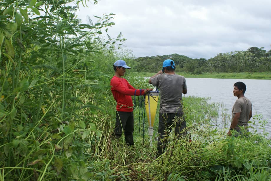 Salida de campo / SINCHI