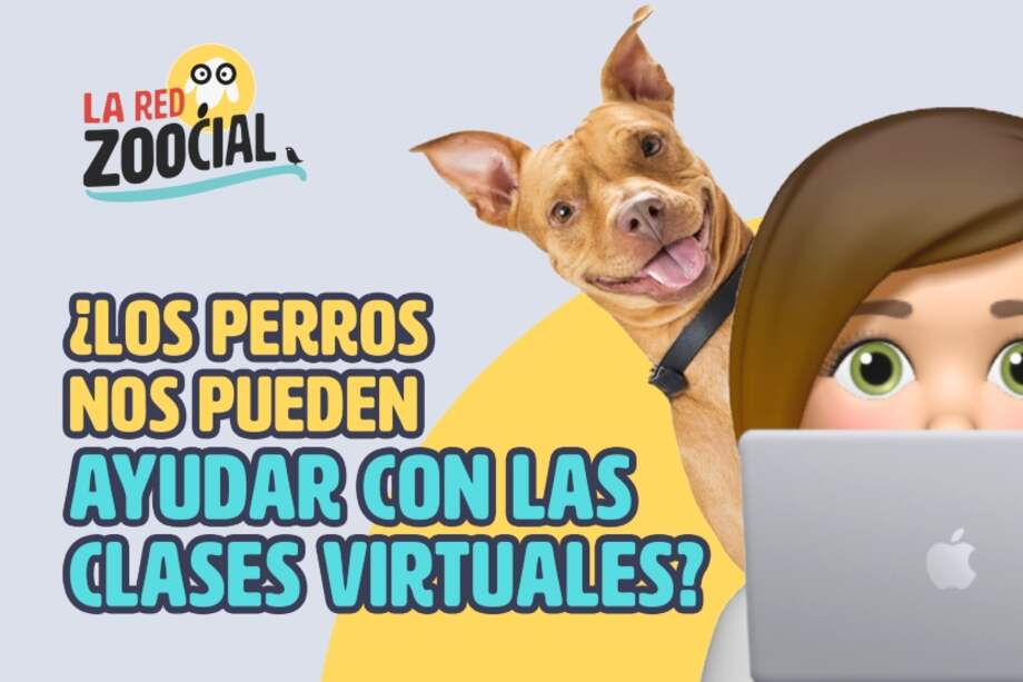 Los perros son grandes aliados en la educación infantil.