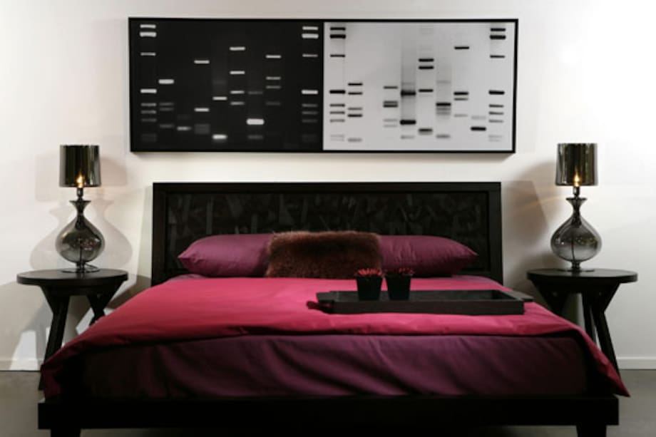 Lo último en decoración: cuadros con ADN del dueño