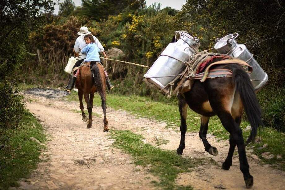 Promover políticas dirigidas a fortalecer las organizaciones sindicales y campesinas es una de las propuestas para el posconflicto. / / Cortesía