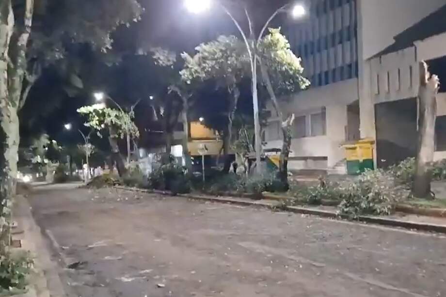 Las autoridades reportaron la caída de varios árboles en Bucaramanga.