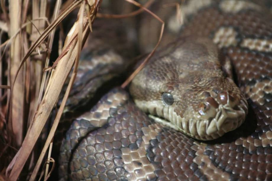 Flikr/Snow Monkey Pottery