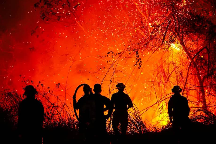 Incendios en Colombia han arrasado unas 20.000 hectáreas (Photo by Handout / Tolima Government / AFP)