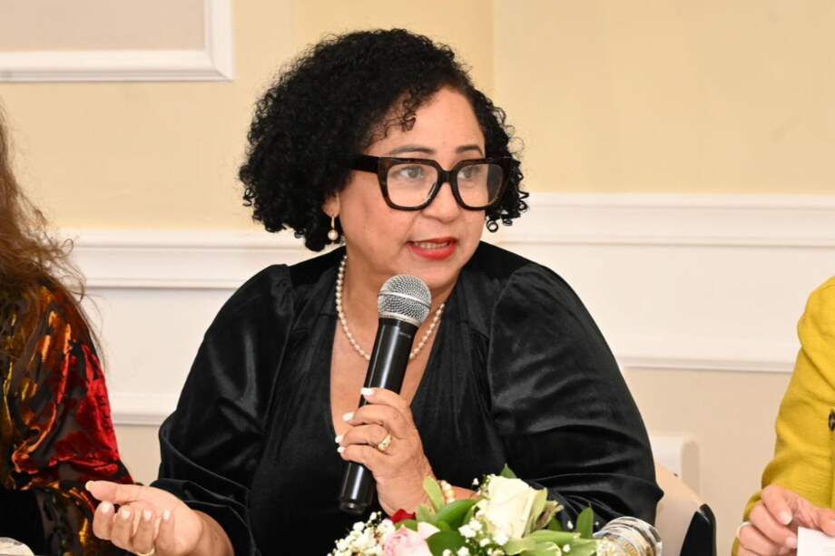 Yildalina Tatem Brache, vicepresidenta del Comité de Expertas del MESCEVI y experta de República Dominicana.